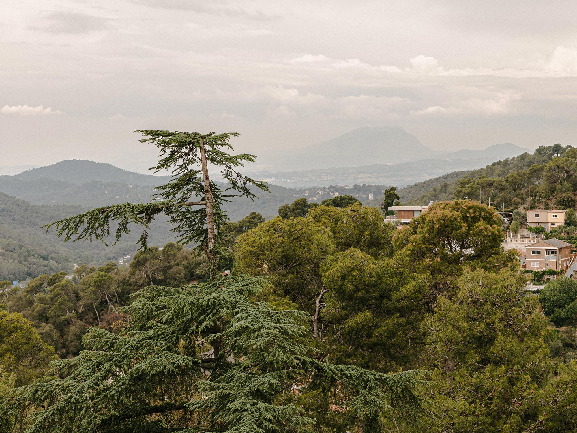 aïllament de fibra de fusta